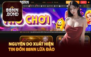 Nguyên Do Xuất Hiện Tin Đồn 88NN Lừa Đảo